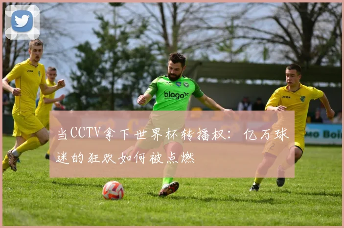 当CCTV拿下世界杯转播权：亿万球迷的狂欢如何被点燃