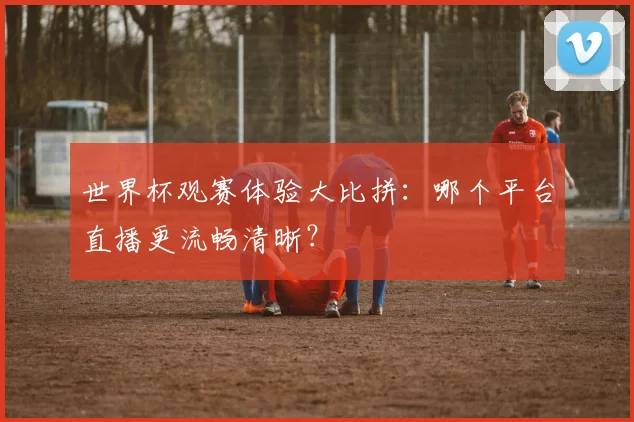 世界杯观赛体验大比拼：哪个平台直播更流畅清晰？