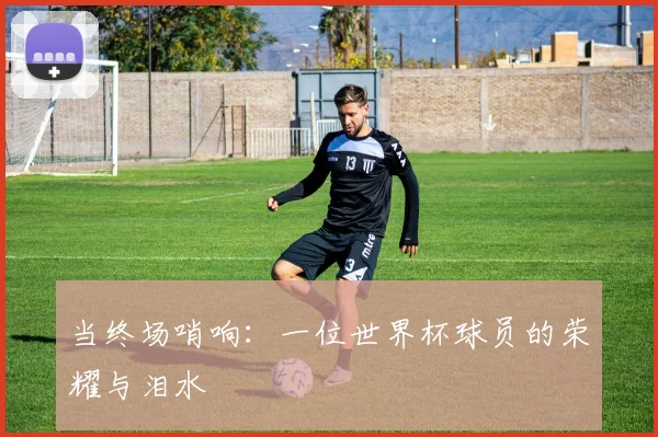 当终场哨响：一位世界杯球员的荣耀与泪水